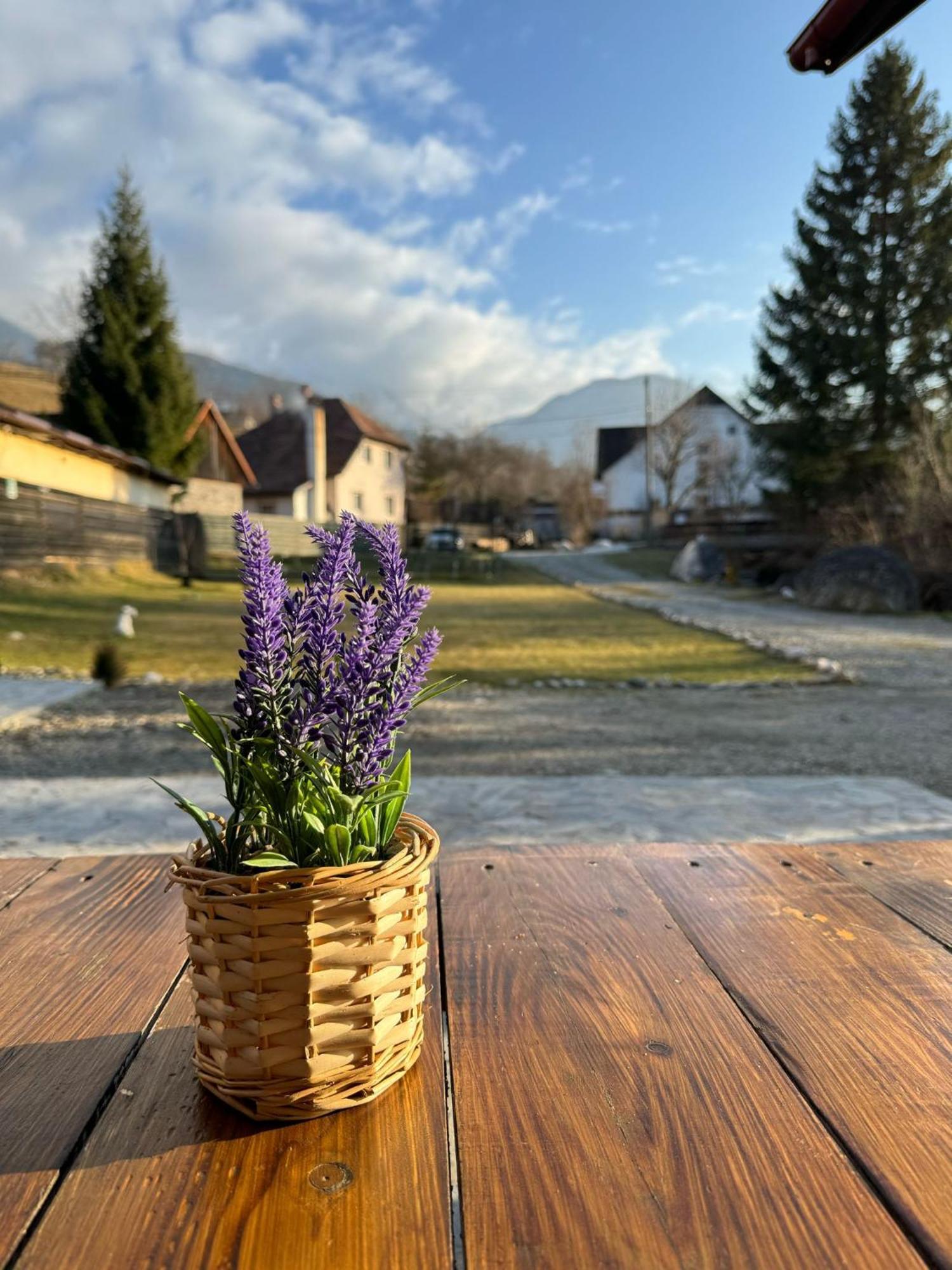 Vila Vibrant Bran  Exteriér fotografie