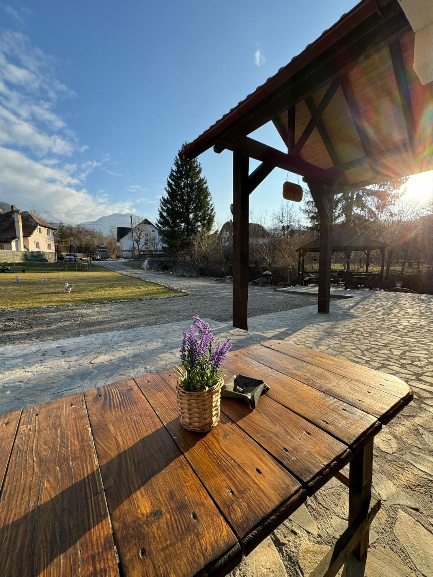 Vila Vibrant Bran  Exteriér fotografie