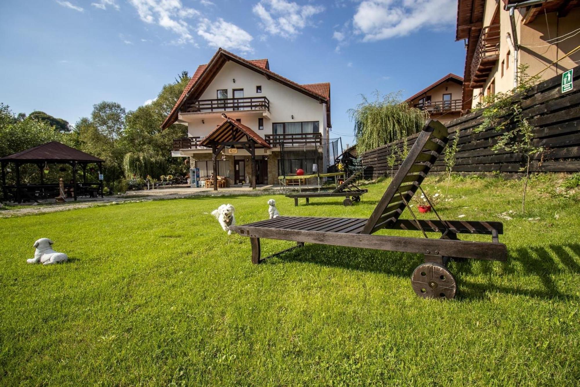 Vila Vibrant Bran  Exteriér fotografie